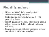Veiksnių, įtakojančių triušienos ir nutrijienos morfologinę sudėtį, analizė 8 puslapis