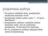 Veiksnių, įtakojančių triušienos ir nutrijienos morfologinę sudėtį, analizė 10 puslapis