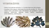 Žuvies gaminių mikrobiologija 15 puslapis