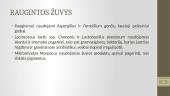 Žuvies gaminių mikrobiologija 18 puslapis