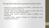 Žuvies gaminių mikrobiologija 6 puslapis