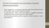 Žuvies gaminių mikrobiologija 7 puslapis