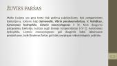 Žuvies gaminių mikrobiologija 8 puslapis