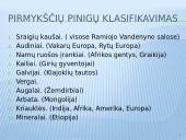 Pinigų istorinė raida ir pinigai Lietuvoje 6 puslapis