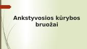 ﻿Humanistinės Jono Biliūno idėjos 2 puslapis