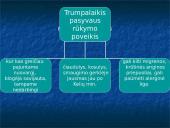 Rūkymo žala žmogui 8 puslapis