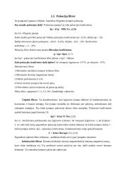 Įtampos lygintuvai ir filtrai 6 puslapis