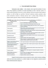 Stacionarių šaltinių oro taršos problemos Šiauliuose 4 puslapis