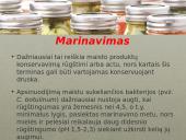 Maisto produktų konservavimo metodai 19 puslapis