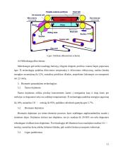 Energijos efektyvumas popieriaus gamykloje 12 puslapis