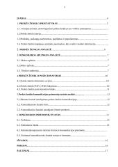 Prekės ženklo pristatymas 2 puslapis