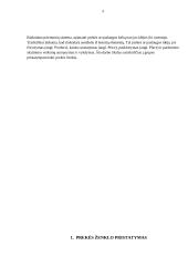 Prekės ženklo pristatymas 4 puslapis