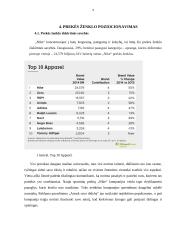 Prekės ženklo pristatymas 9 puslapis