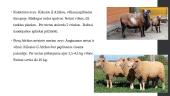 Avių ir ožkų veislinė analizė Afrikos regione 13 puslapis