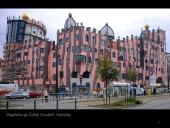 Menininko Hundertwasser architektūros filosofija ir jos pasekėjai 15 puslapis