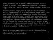 Menininko Hundertwasser architektūros filosofija ir jos pasekėjai 4 puslapis