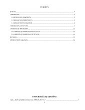 Migracija. Migracijos įtaka šalies socialinei ekonominei raidai 2 puslapis