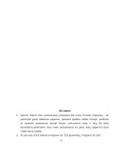 Migracija. Migracijos įtaka šalies socialinei ekonominei raidai 15 puslapis