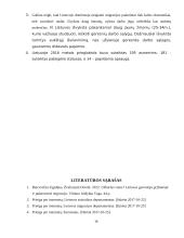 Migracija. Migracijos įtaka šalies socialinei ekonominei raidai 16 puslapis