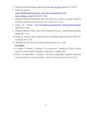 Migracija. Migracijos įtaka šalies socialinei ekonominei raidai 17 puslapis