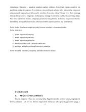 Migracija. Migracijos įtaka šalies socialinei ekonominei raidai 4 puslapis