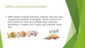 GMO augimo ir vartojimo pasekmės 4 puslapis
