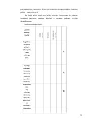 „Eurokos“ vartotojų aptarnavimo kokybės vertinimas 16 puslapis