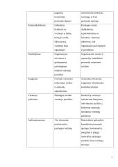 „Eurokos“ vartotojų aptarnavimo kokybės vertinimas 7 puslapis