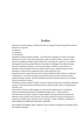 Uolienų panaudojimas keliams, namų statybai 2 puslapis