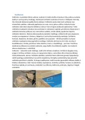 Uolienų panaudojimas keliams, namų statybai 13 puslapis