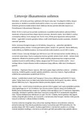 Uolienų panaudojimas keliams, namų statybai 15 puslapis