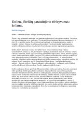 Uolienų panaudojimas keliams, namų statybai 3 puslapis