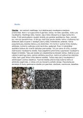 Uolienų panaudojimas keliams, namų statybai 4 puslapis