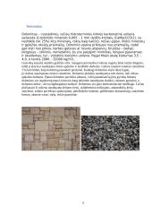 Uolienų panaudojimas keliams, namų statybai 6 puslapis