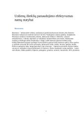 Uolienų panaudojimas keliams, namų statybai 7 puslapis