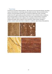 Uolienų panaudojimas keliams, namų statybai 10 puslapis