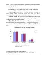 AB "Lietuvos geležinkeliai" marketingo kompleksas 3 puslapis