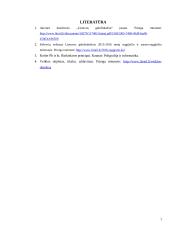 AB "Lietuvos geležinkeliai" marketingo kompleksas 7 puslapis