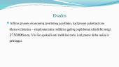 Transporto įmonės ekonominių rodiklių skaičiavimas ir analizė 6 puslapis