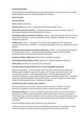 Konstitucines teisės pirmas seminaras, konstitucinė samprata 2 puslapis