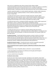 Konstitucines teisės pirmas seminaras, konstitucinė samprata 5 puslapis