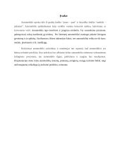 Variklinių transporto priemonių techninė priežiūra ir remontas 2 puslapis