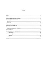 Automobilio paruošimas dažymui 2 puslapis