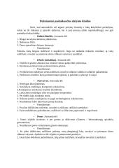 Automobilio paruošimas dažymui 11 puslapis