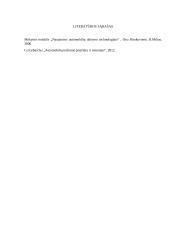 Automobilio paruošimas dažymui 13 puslapis