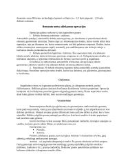 Automobilio paruošimas dažymui 5 puslapis