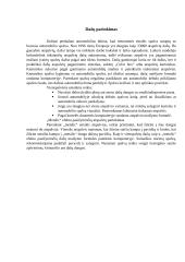 Automobilio paruošimas dažymui 7 puslapis