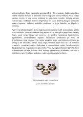 Baltų genčių kultūros bruožai. Kuršiai 10 puslapis