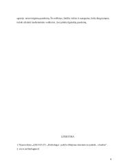 Sociologijos referatas. Agresija internete 8 puslapis