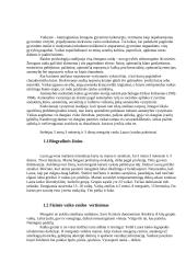 Asistavimo praktika darželyje